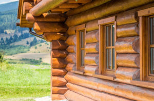 Вы уделяете внимание энергоэффективности? Построй деревянный дом!